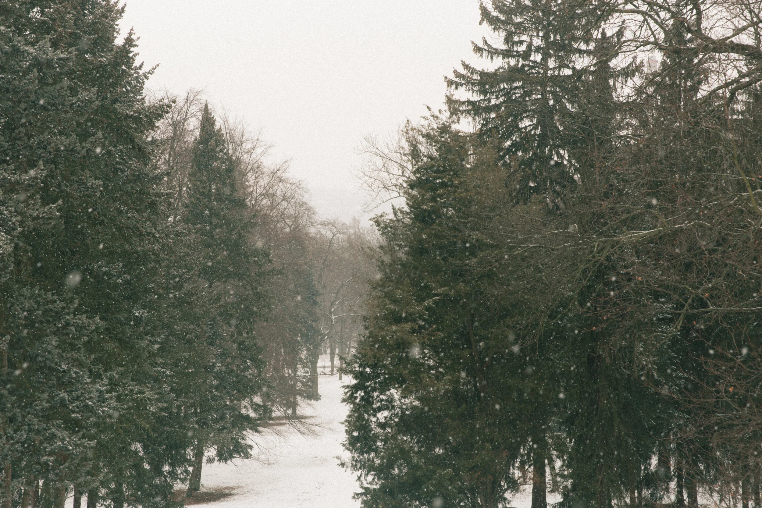 Winter-21.jpg