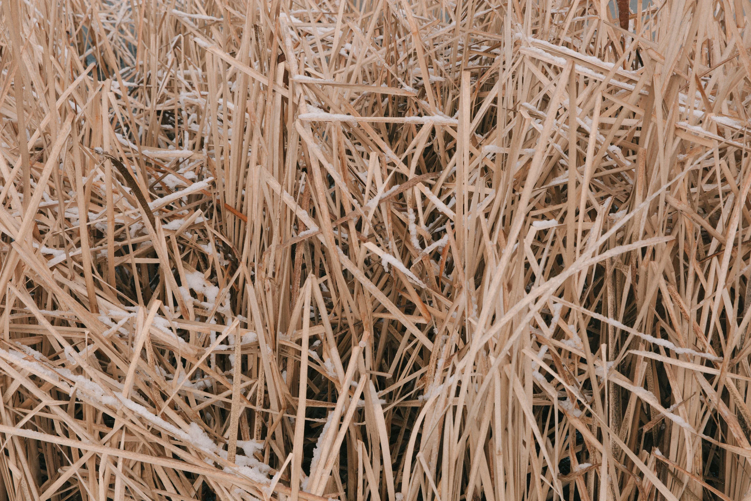 Winter-9.jpg