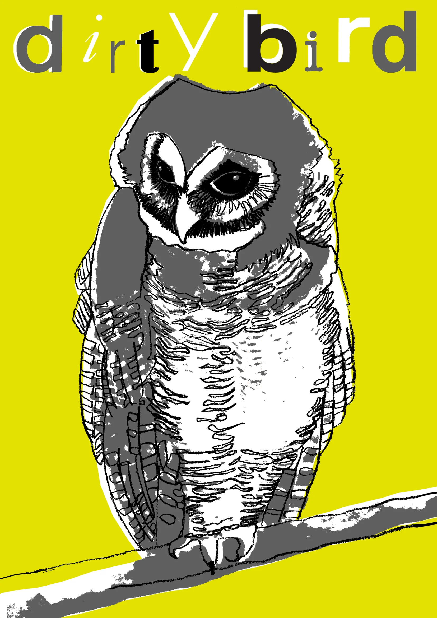 dirty bird-owl towel 1.jpg