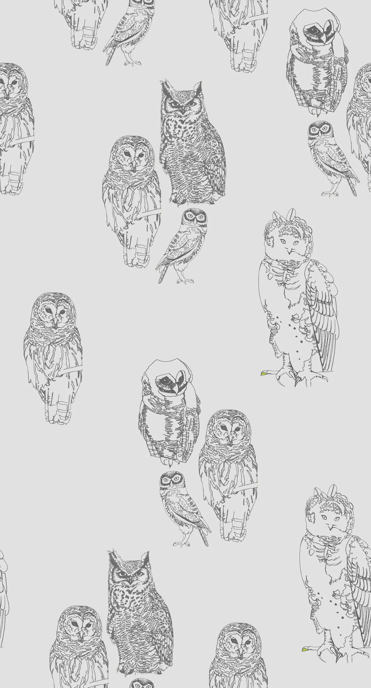 grey wallaper OWL Final sm.jpg