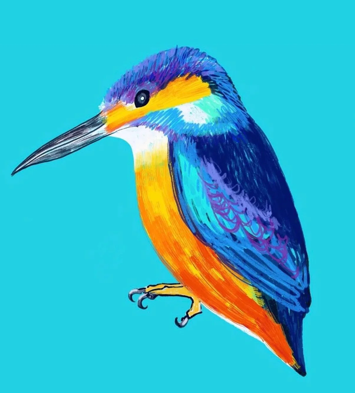 Kingfisher digital sketch #kingfisher #digitalillustration #procreate #birdsofinstagram #artistsoninstagram #drawingoftheday #digitalsketch