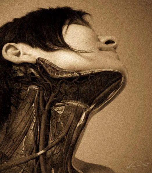 neck pain.jpg