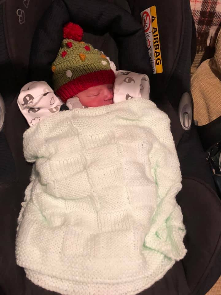 Percy on way home.jpg