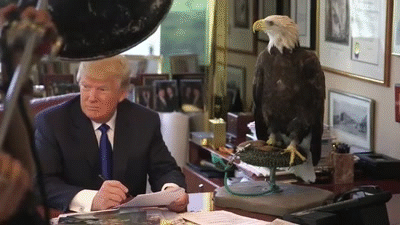 The 2016 Election, Reality TV and Knowing your Audience