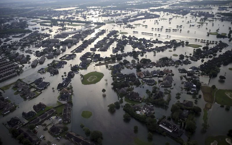 harvey.jpeg