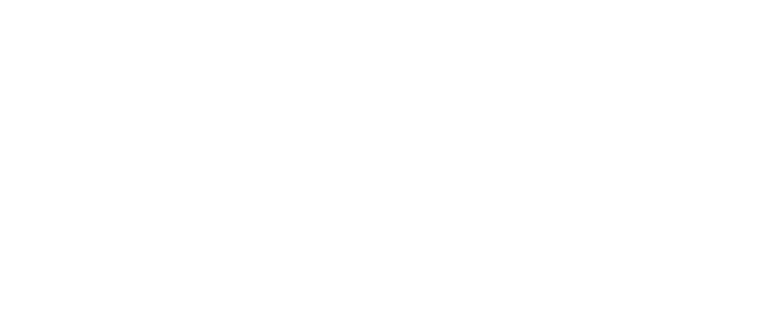Texas Parking & Transportation Association