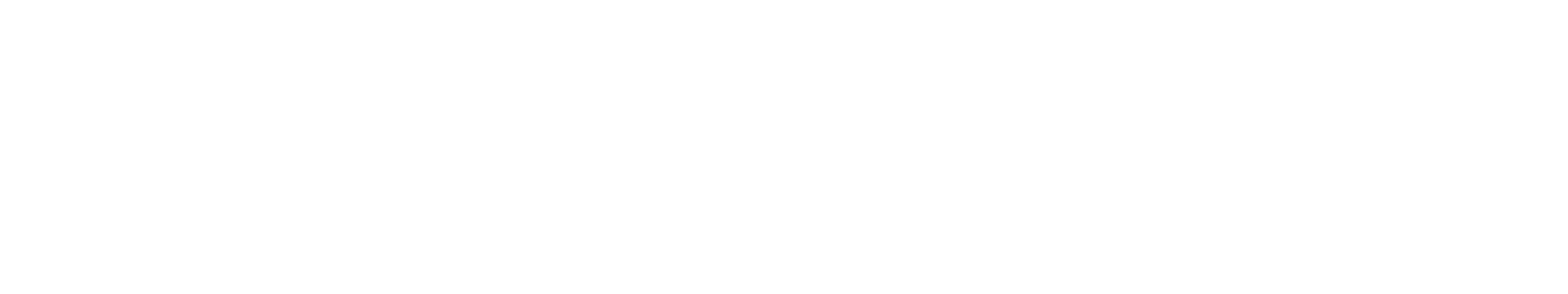 vision source eye care logo in white