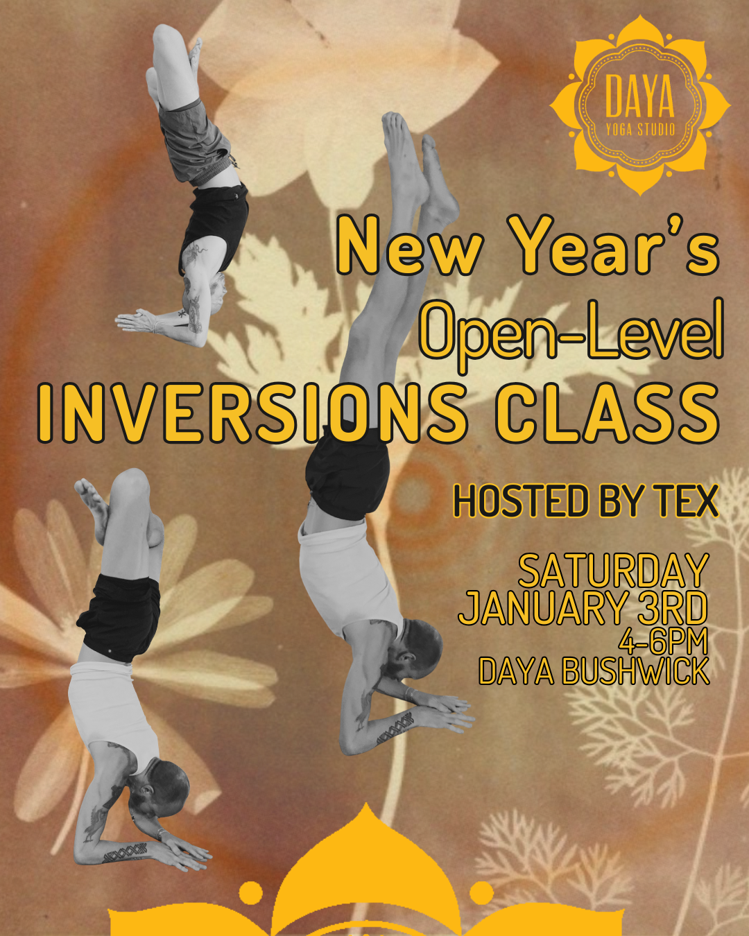 New Year's Open-Level Inversions Class