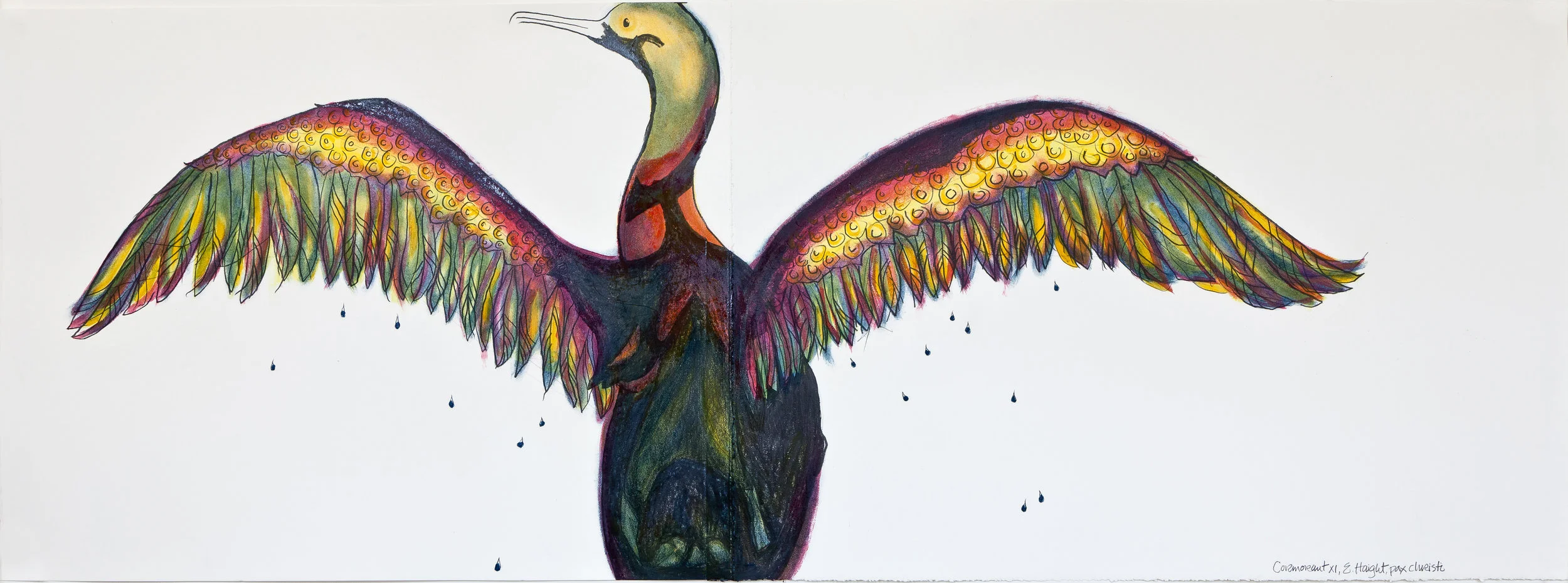 Cormorant XI, 15" x 41"