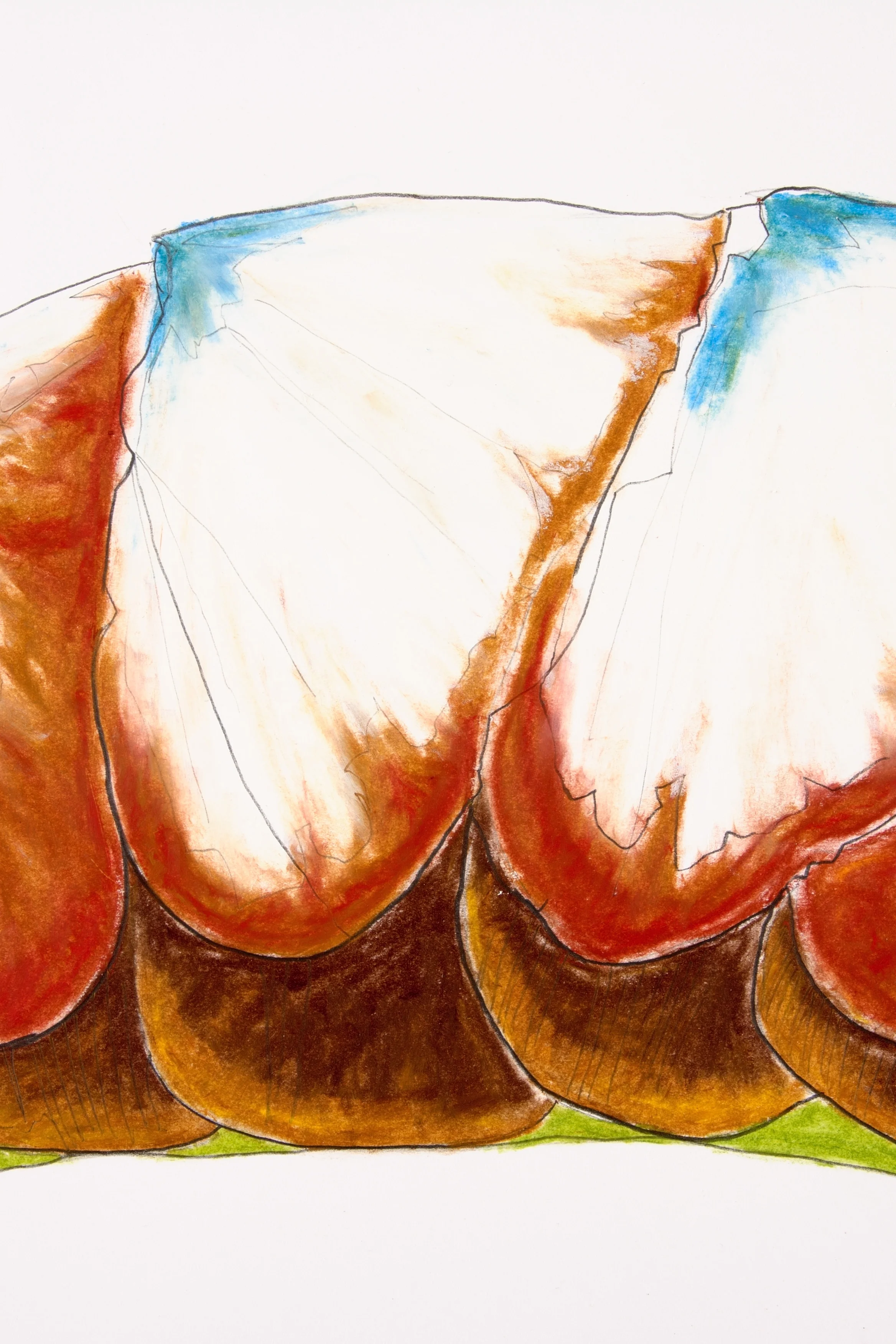 Carapace: Chiton XV, detail