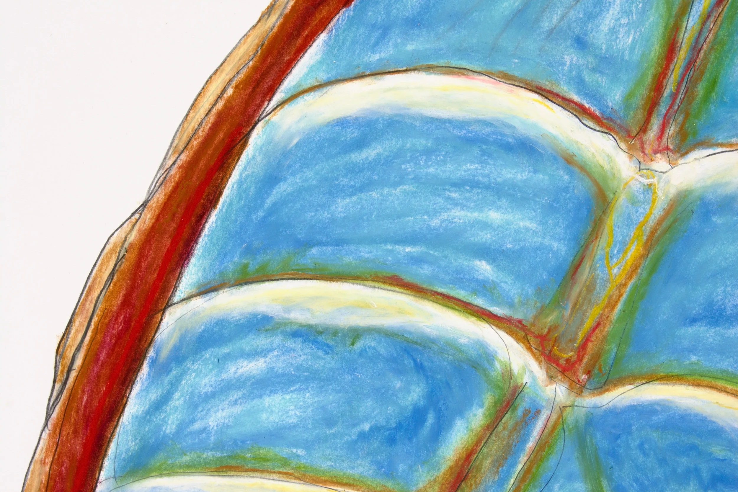 Carapace: Chiton XII, detail