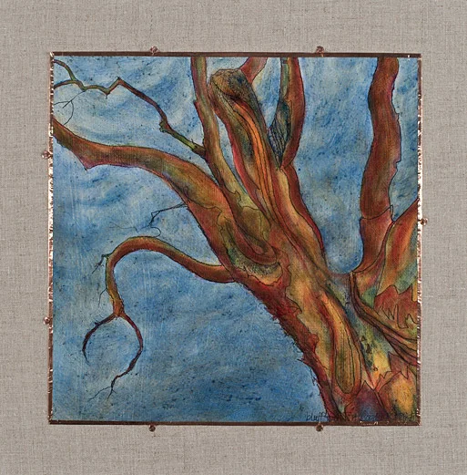 Arborvitae IV, 17" x 17"