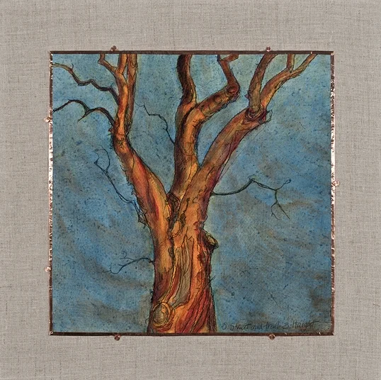 Arborvitae V, 17" x 17"
