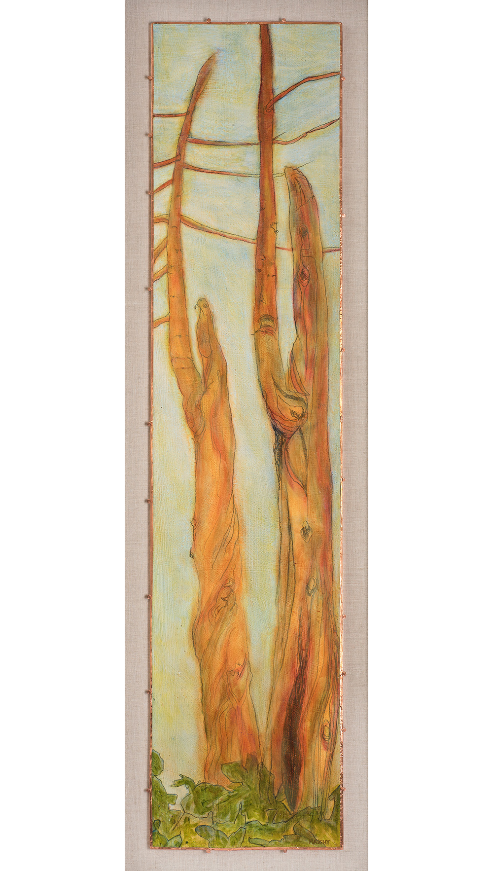 Arborvitae VII, 49" x 15"
