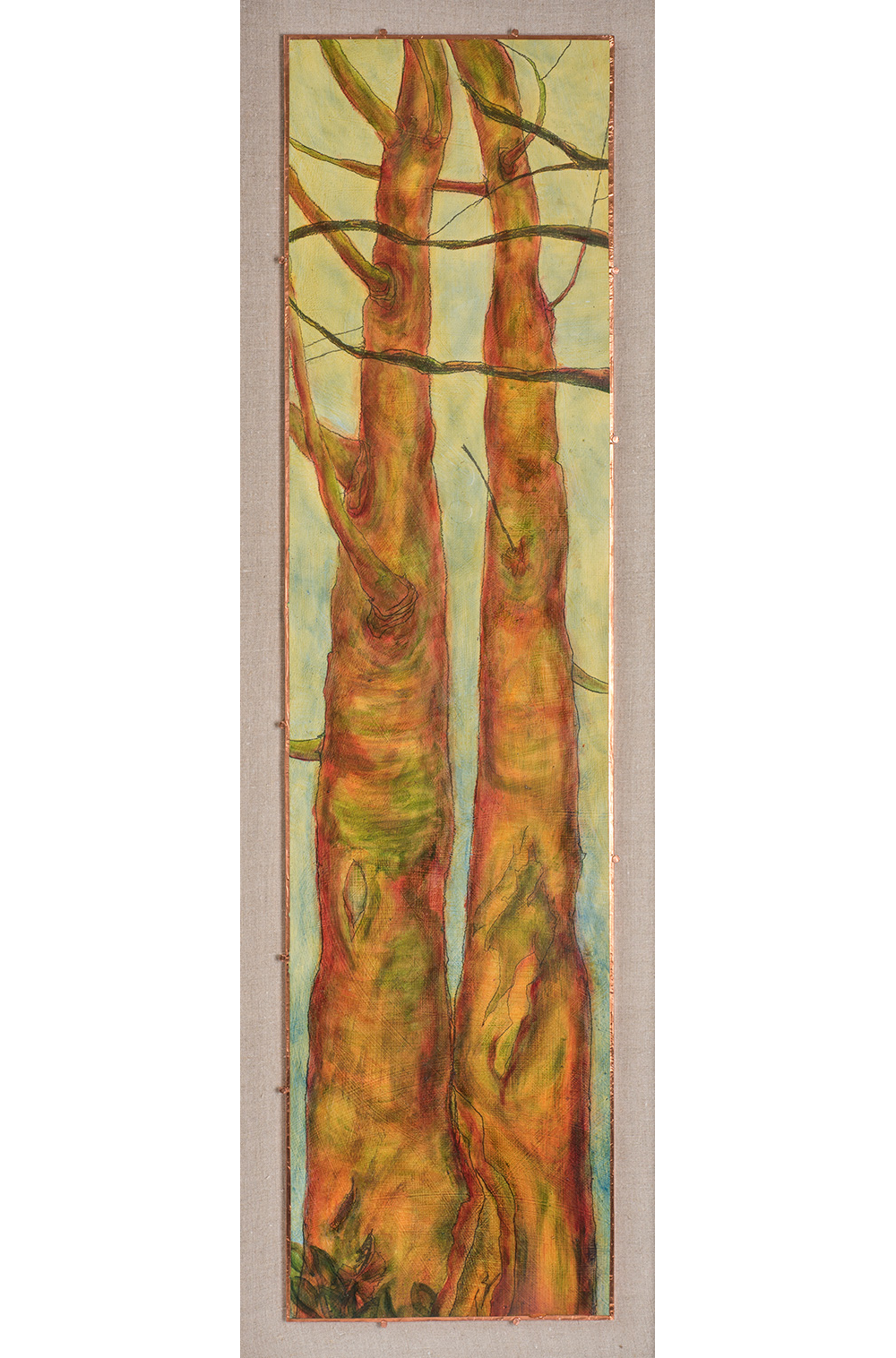 Arborvitae XV, 45" x 15"