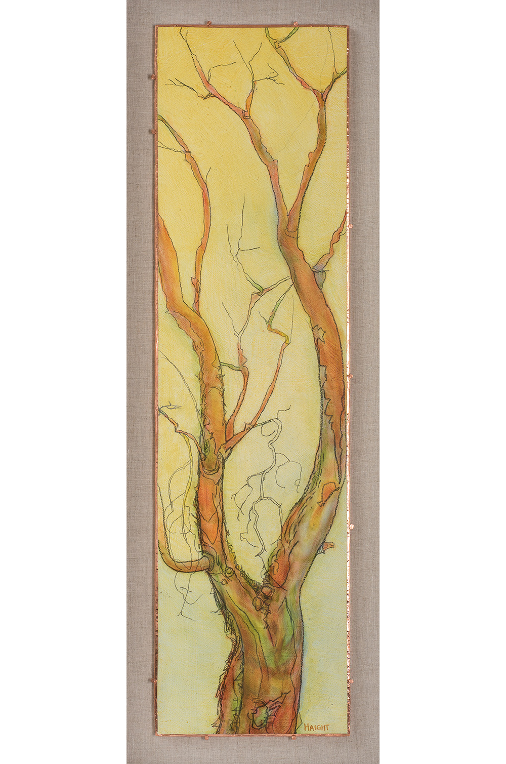 Arborvitae VII, 38" x 14"