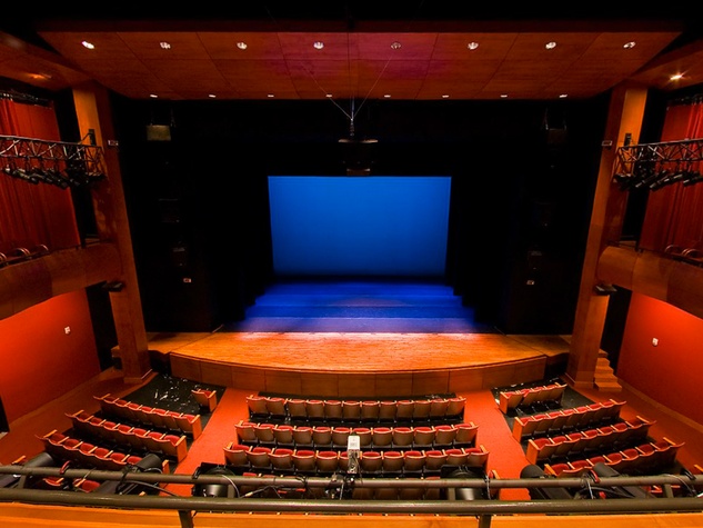 Hobby Center Seating Chart Lion King