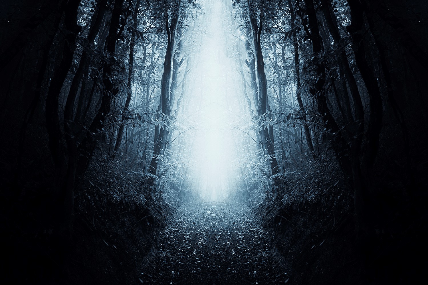 background.jpg