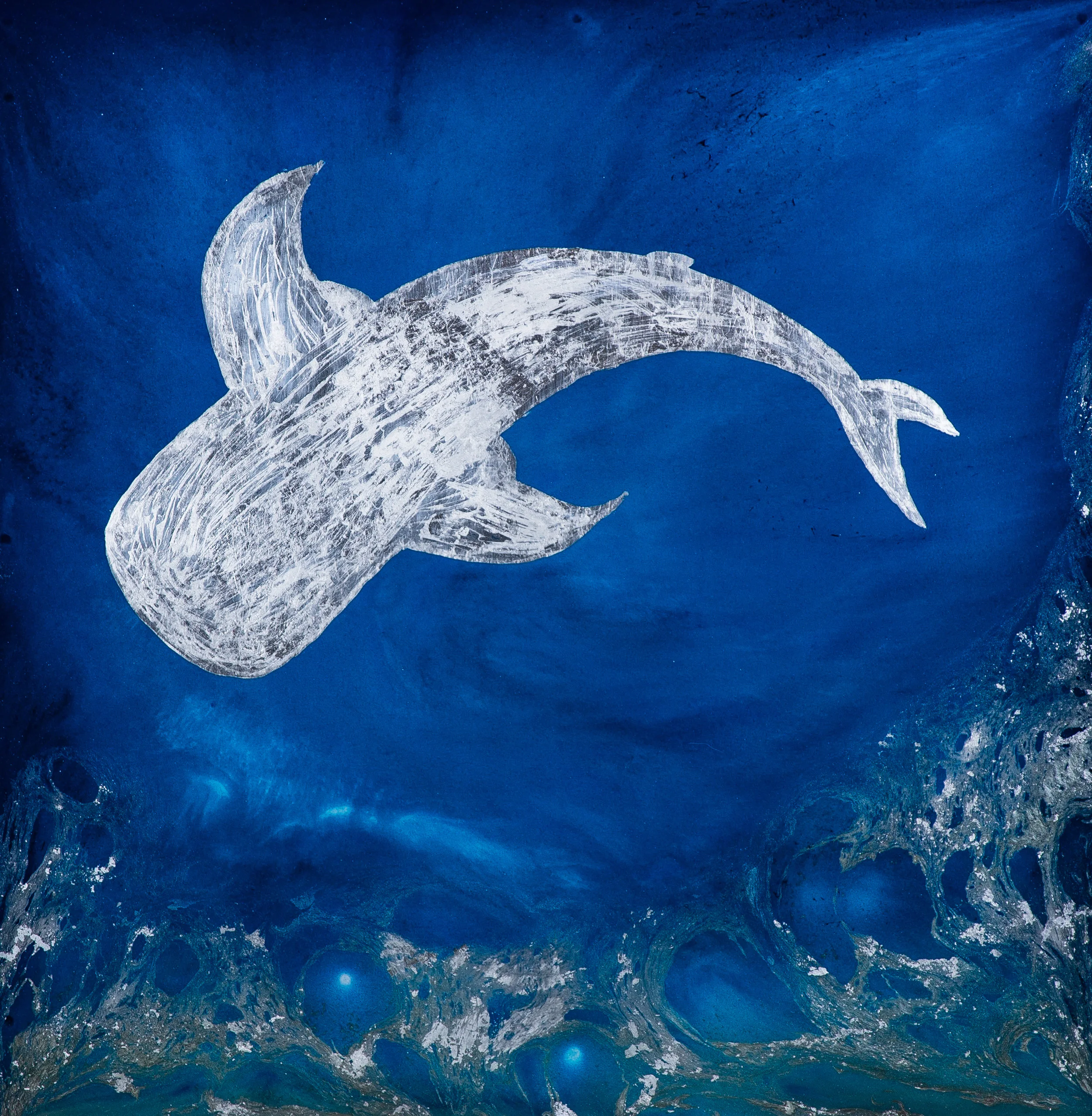 Whale Shark.jpg