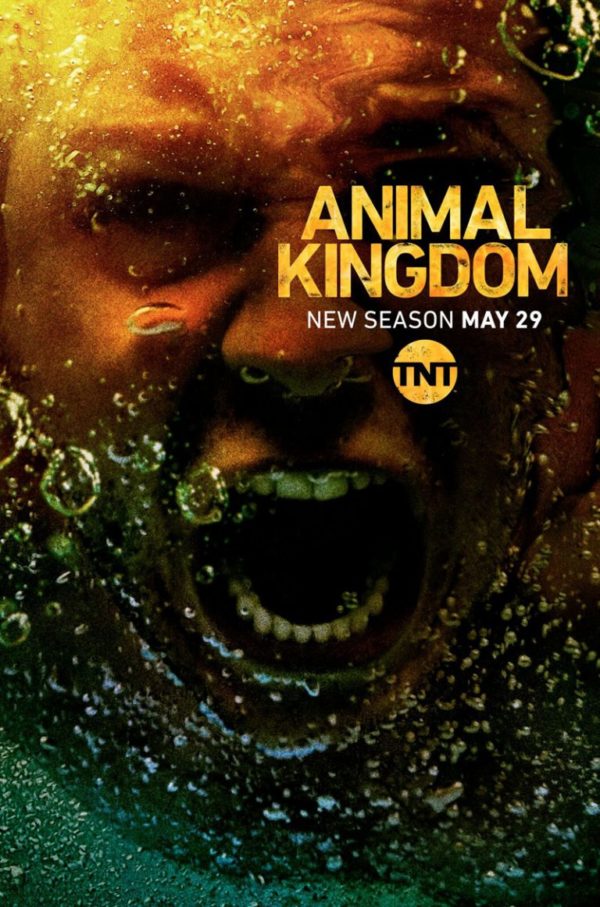 Animal-Kingdom-s3-poster-600x907 (1).jpg