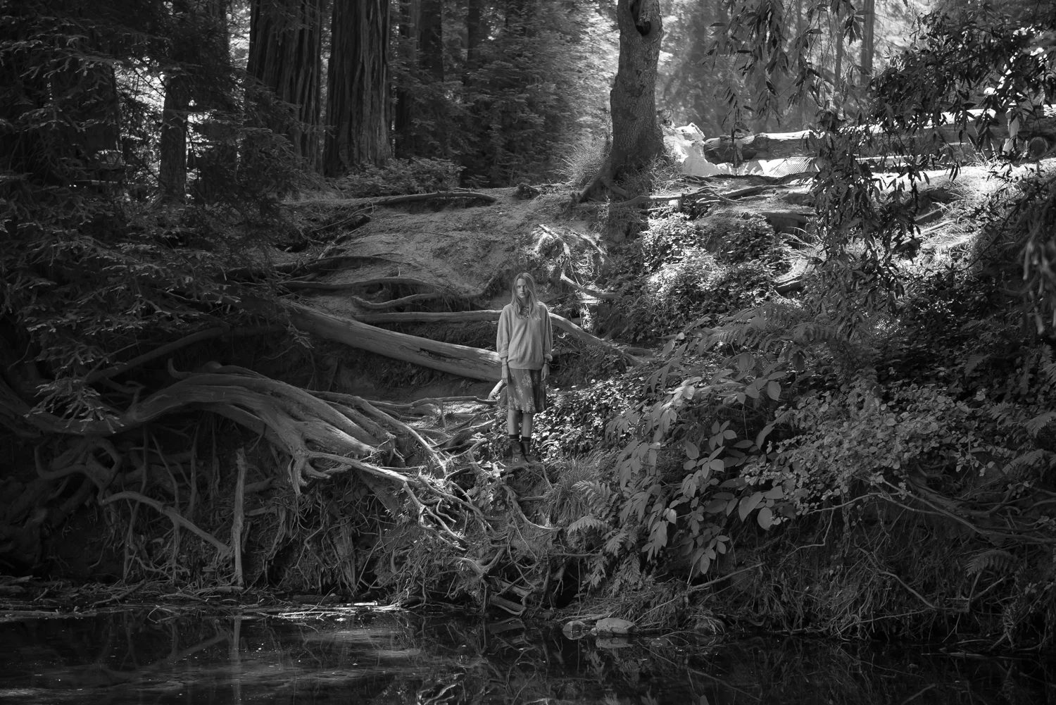 PORTRAITS — Lane Coder Photography