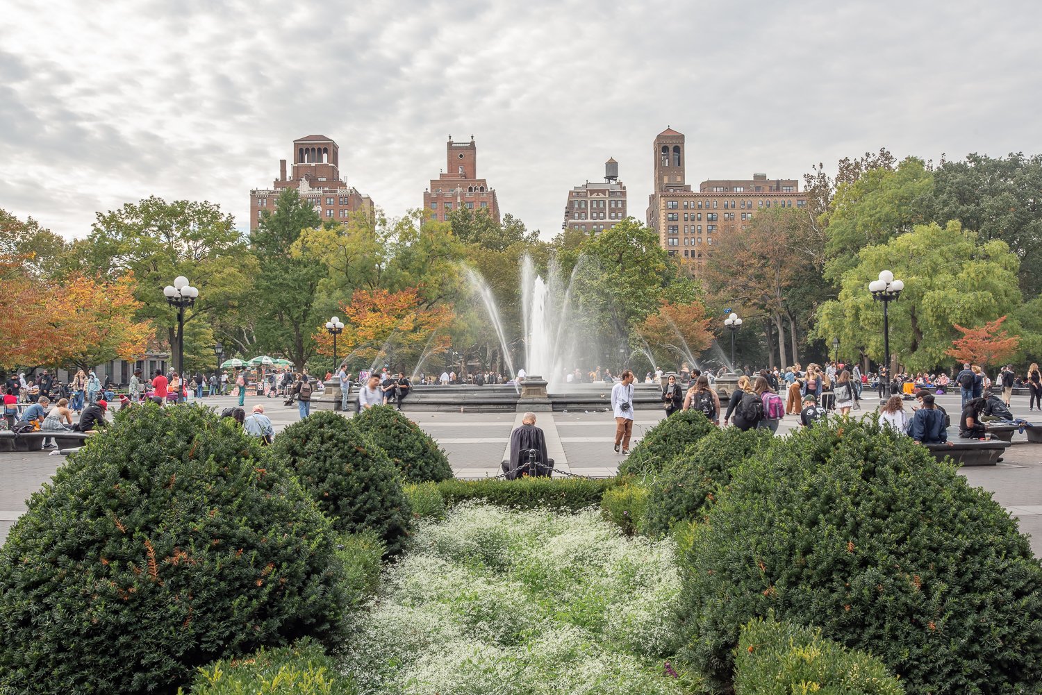 New York University