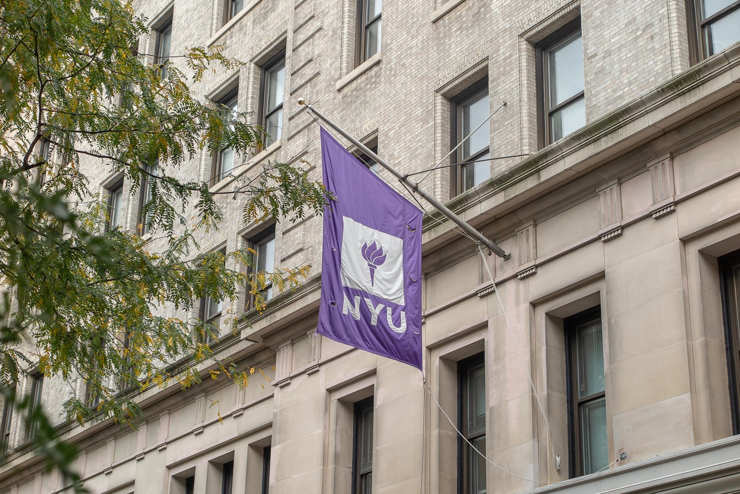 New York University