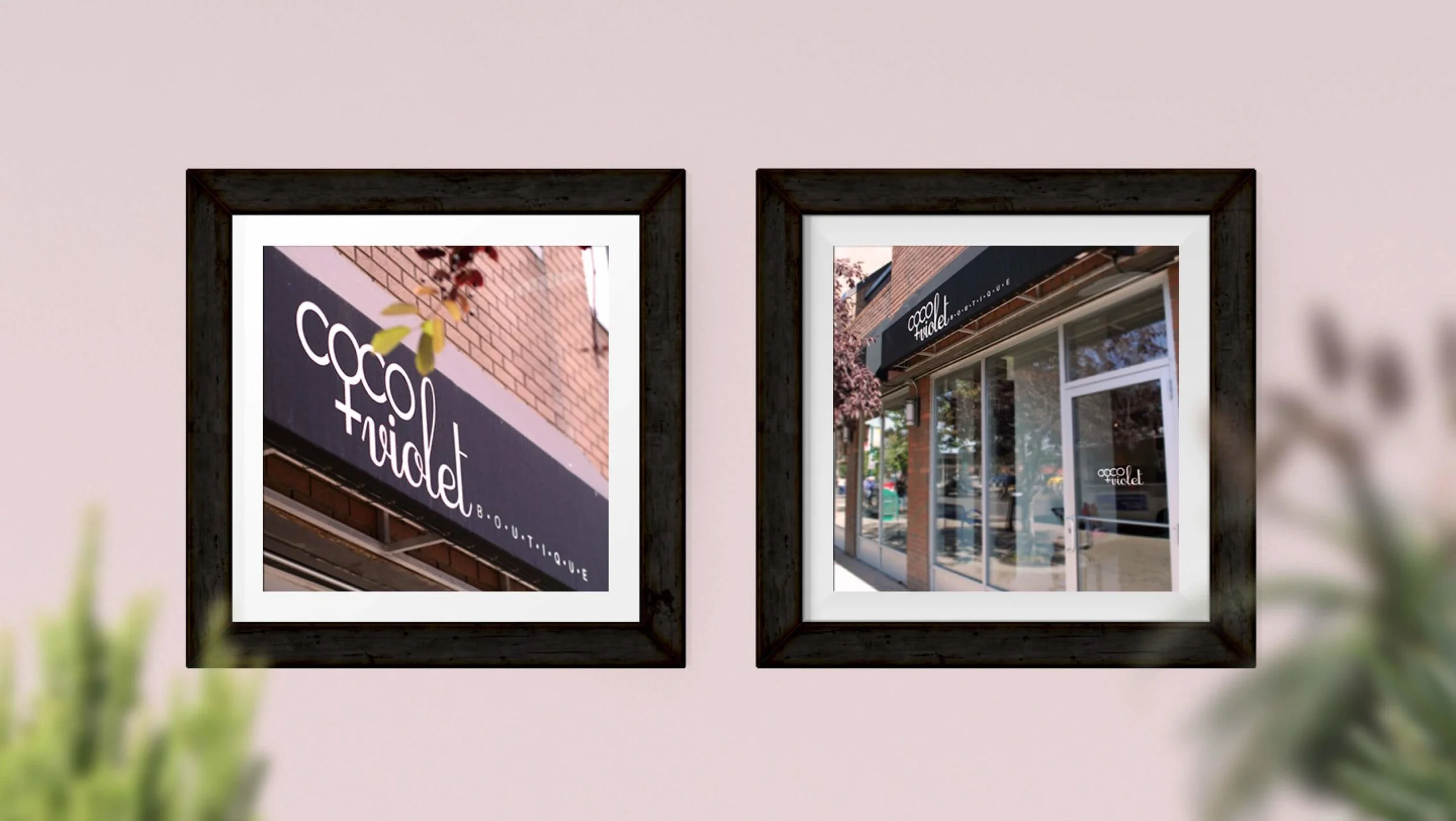 cocoViolet_storeFront.jpg
