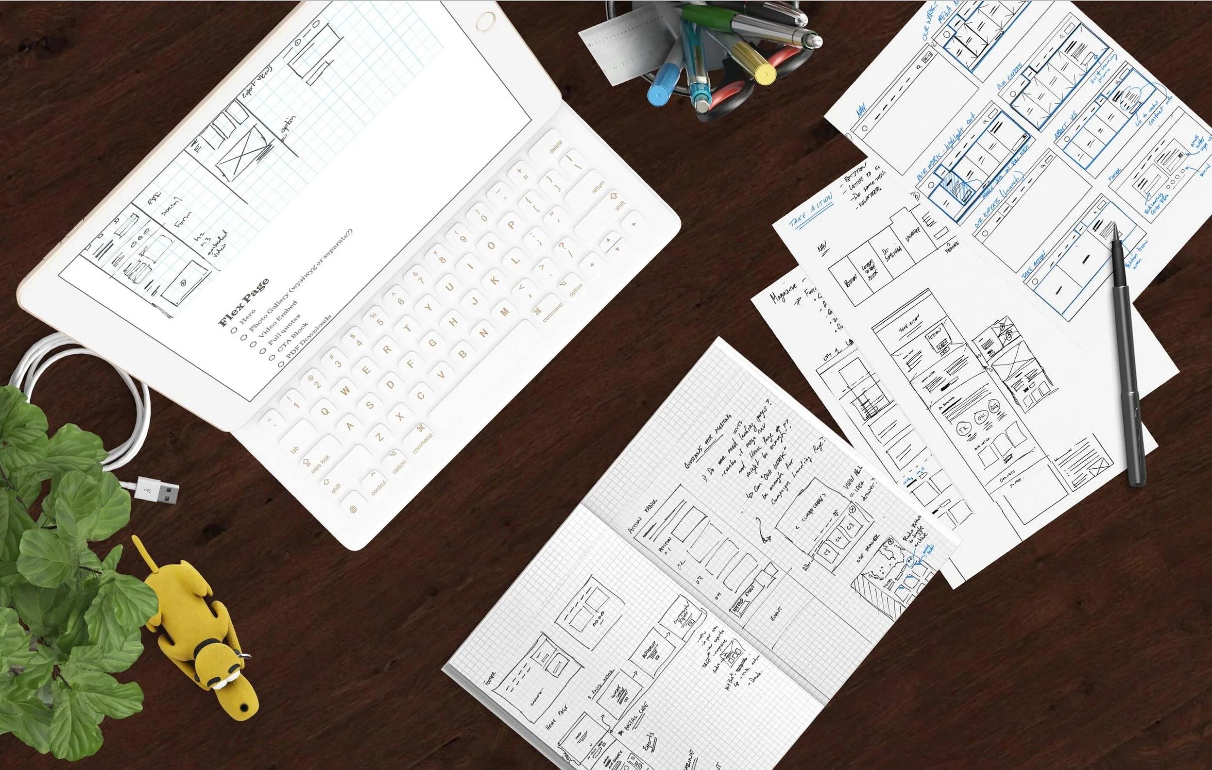 davidsuzuki_UX_mockup.jpg
