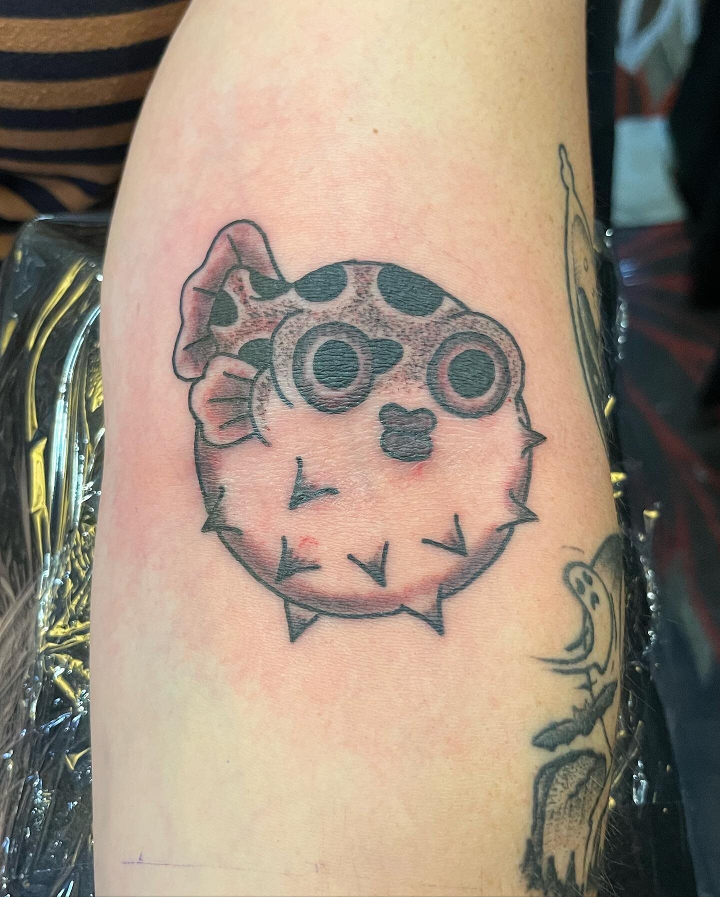 Puffer fish from my design book for @tattoosbyalia (go check her out at Andromeda tattoo in Erie!) Thanks for getting tattooed! 

#threeriverstattoo