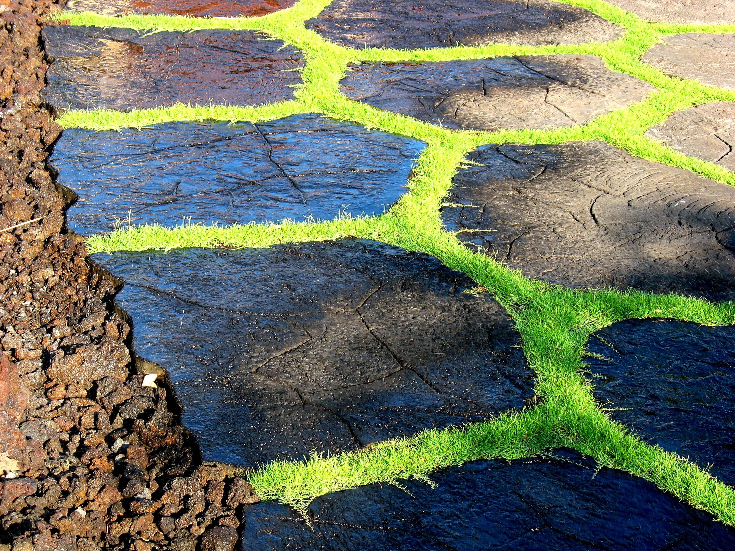 BOLTON INC_Concrete grass and lava rock driveway_Kona Hawaii.jpg