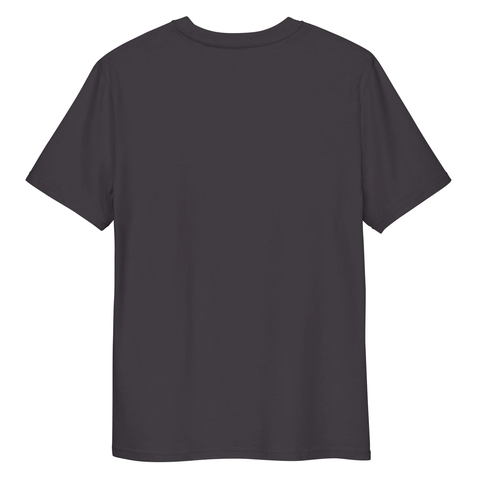 unisex-organic-cotton-t-shirt-anthracite-back-687feb98baf89.jpg