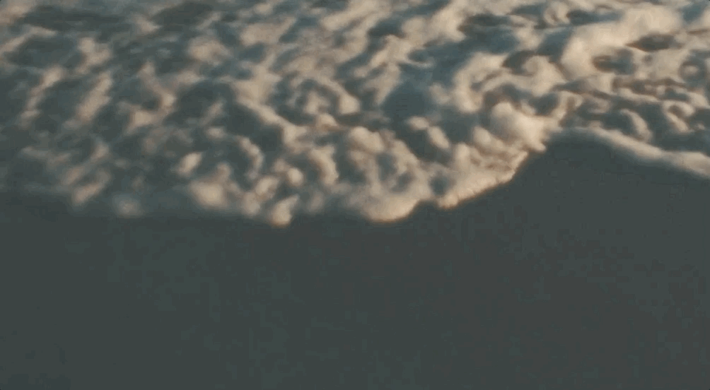 Poppin': A fashion film
