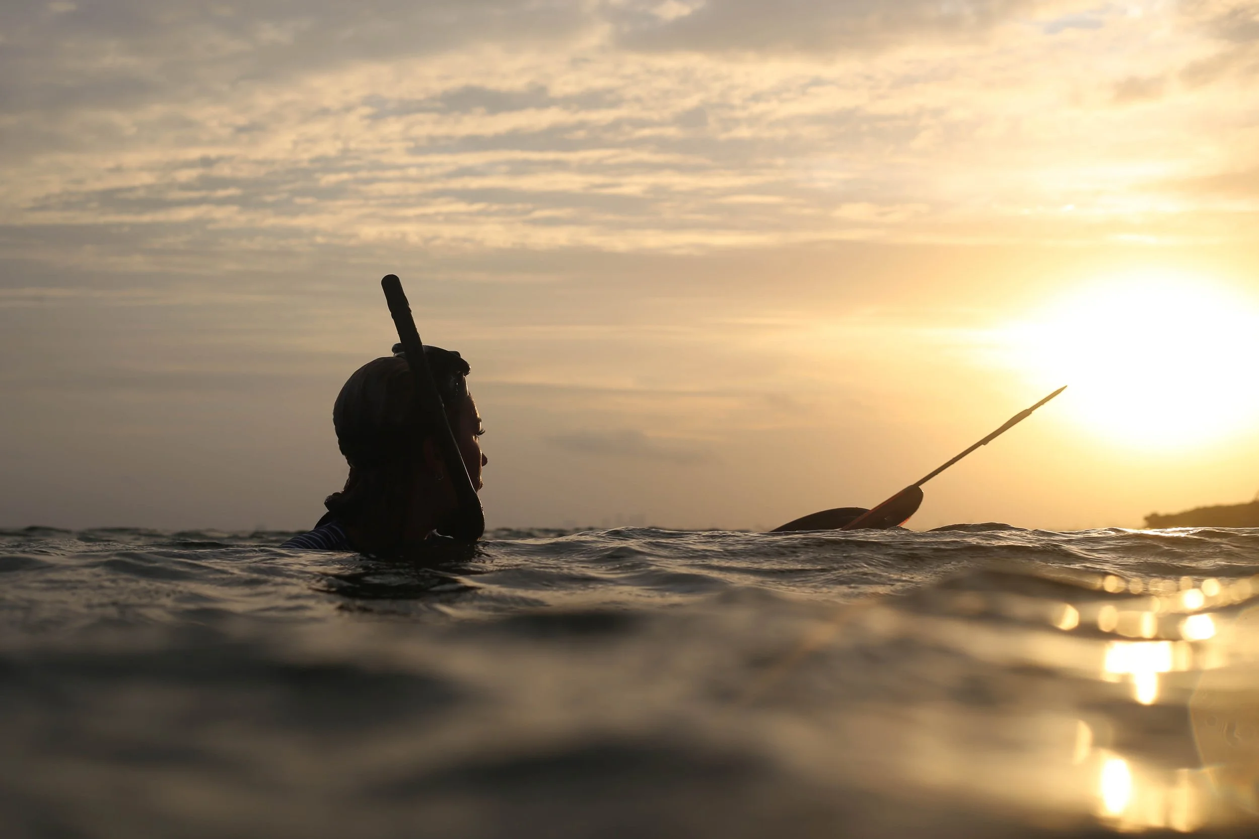 IMG_7449-1111 copy.jpg