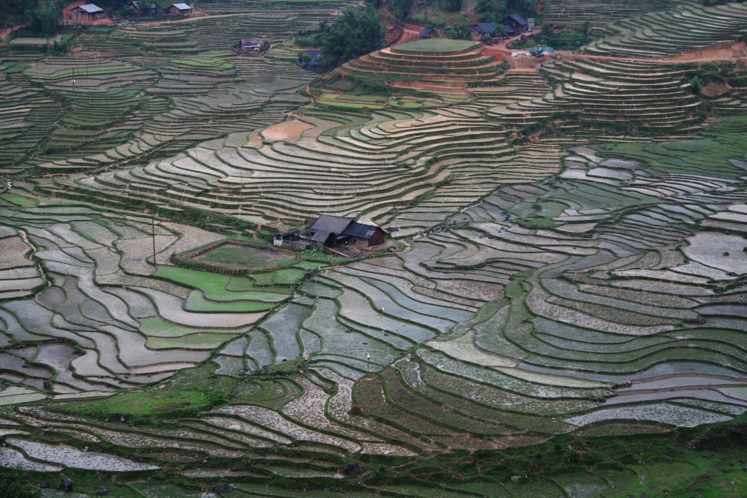 Sapa Terraces 1.jpg