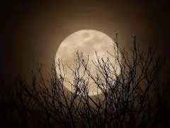 Tonight's SuperDuper Moon, one not to miss!