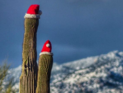 Happy Holidays from www.Rent29.om