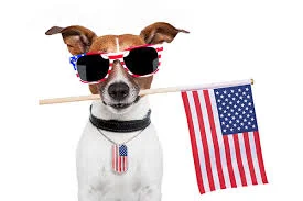 How to keep your pet safe for 4th of July | GPS • TAG • SECURE • MICROCHIP