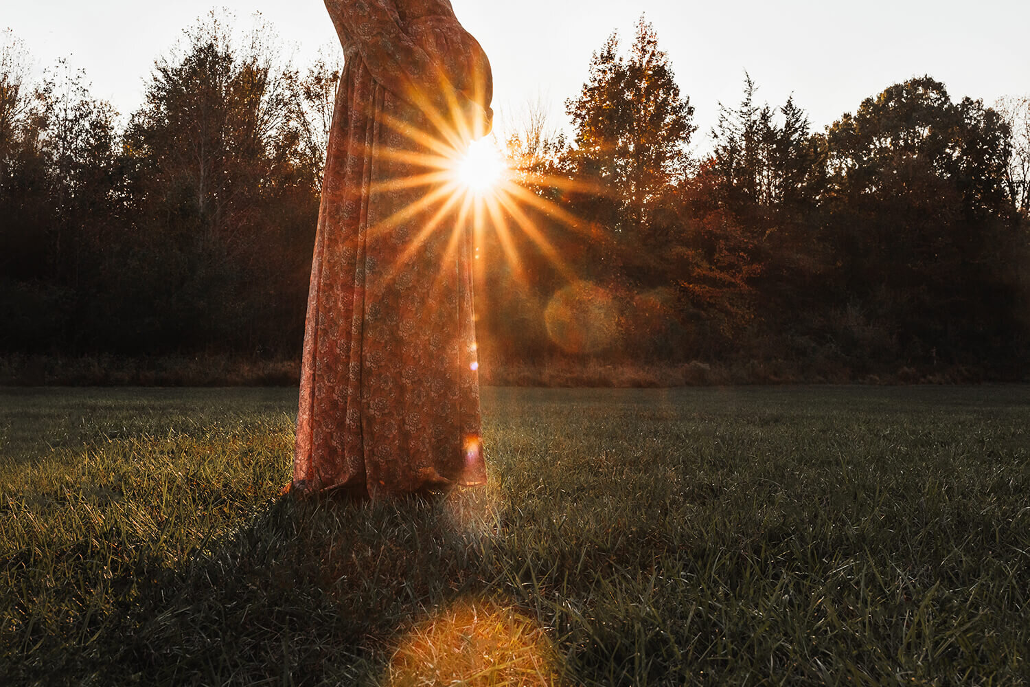 gorgeous-sunflare-emily-bien-photography.jpg