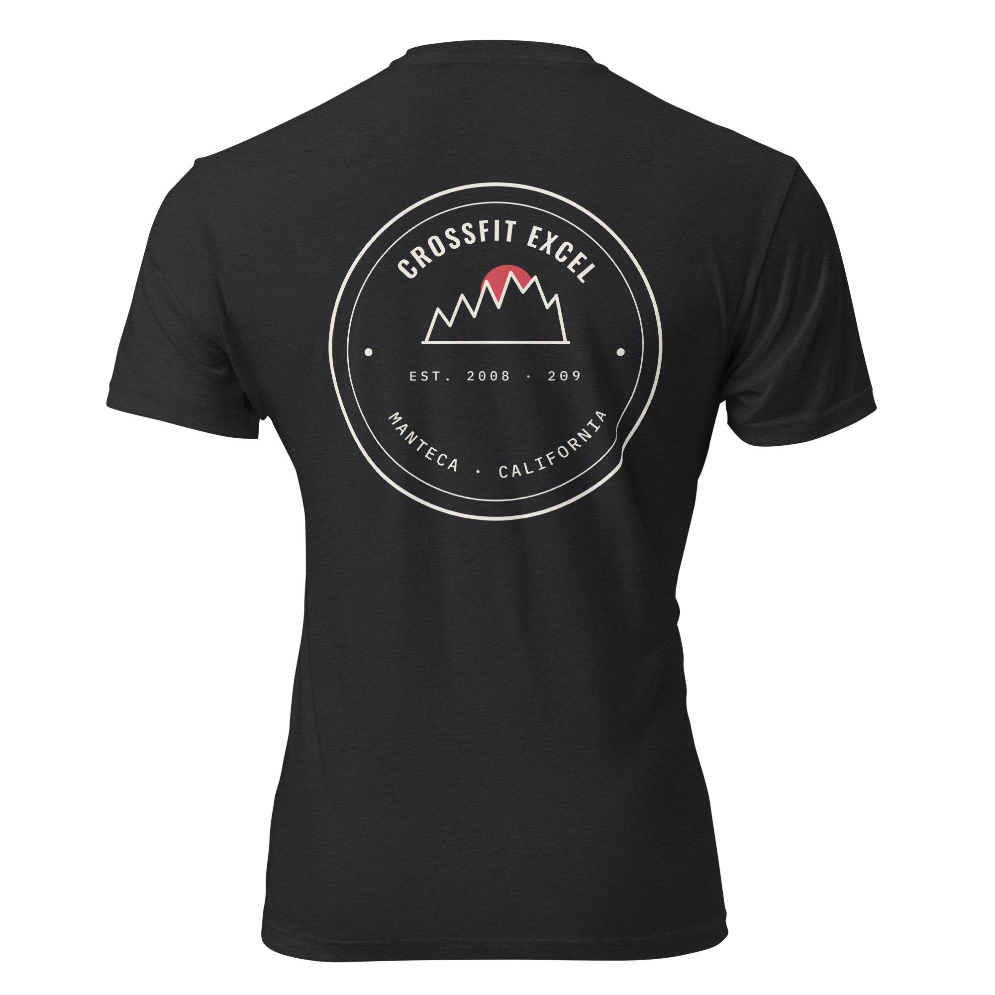 unisex-cvc-t-shirt-black-back-6a2a22b9af8ea.jpg