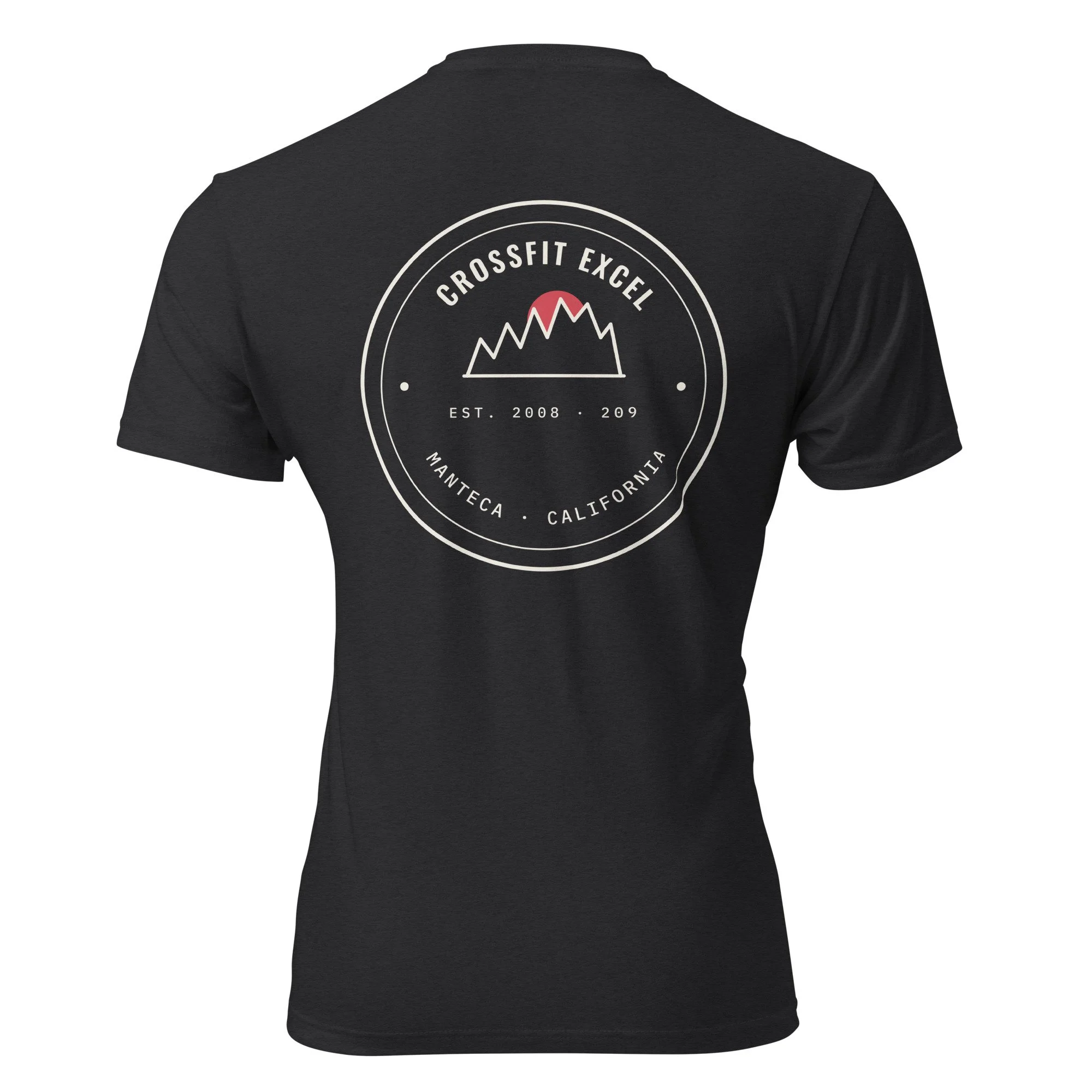unisex-cvc-t-shirt-black-back-6a2ca043b8317.jpg