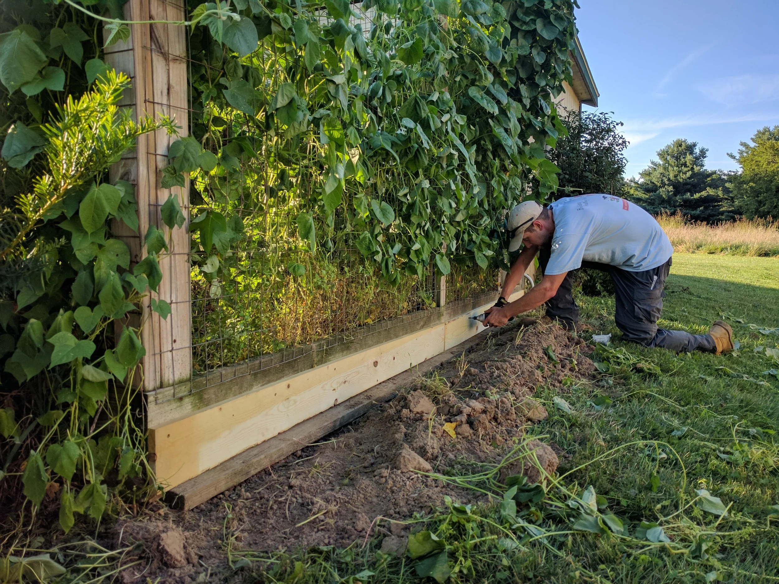 Jared reinforcing the chicken coop.