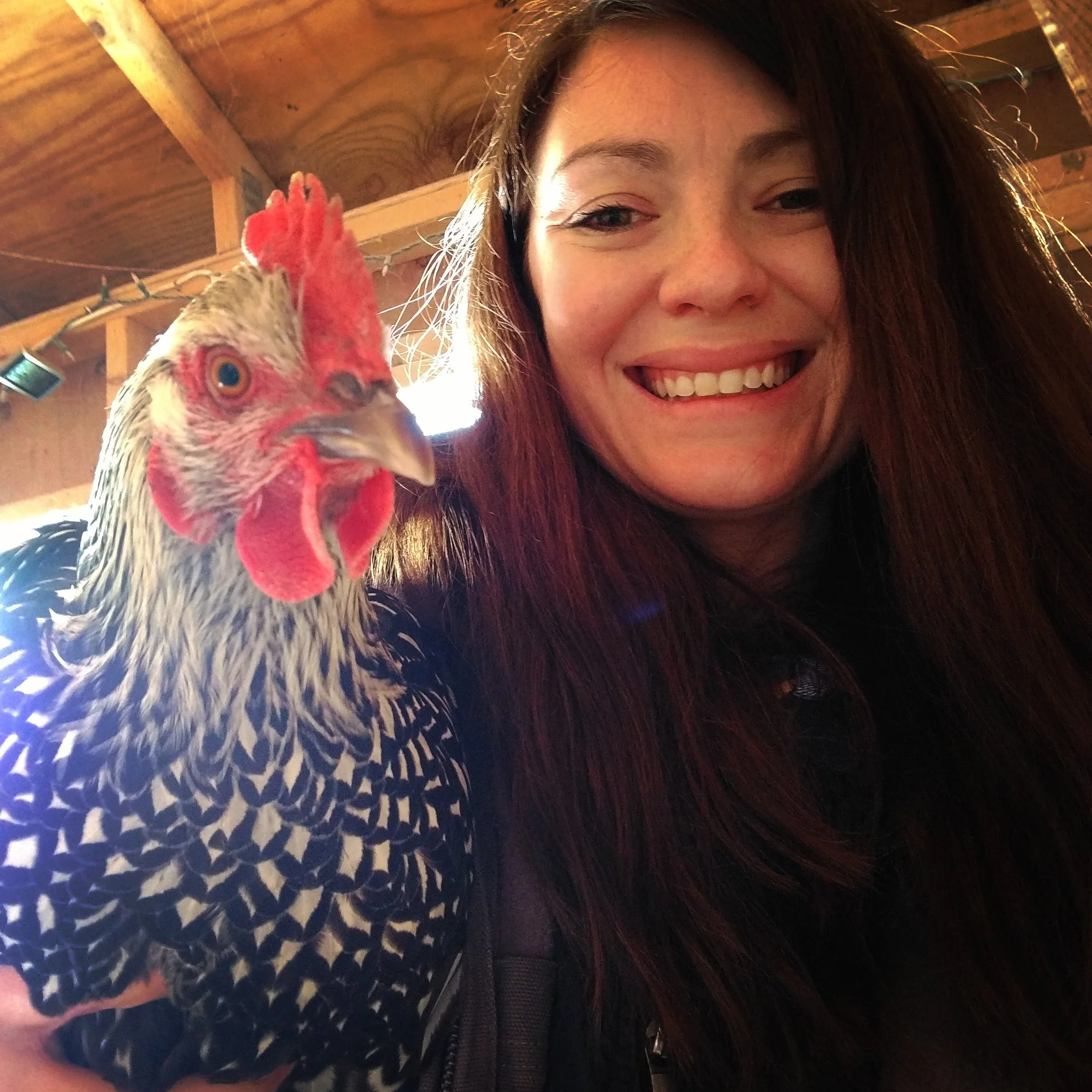 Artemis was a beautiful hen.