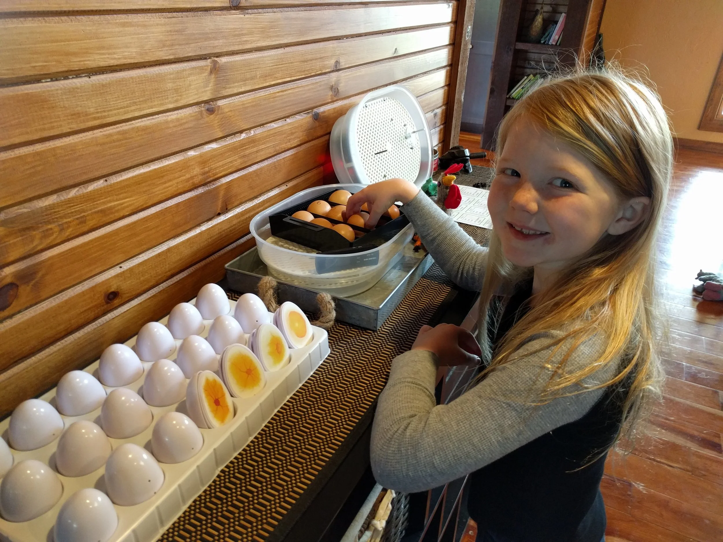 Aurora checking on her eggs