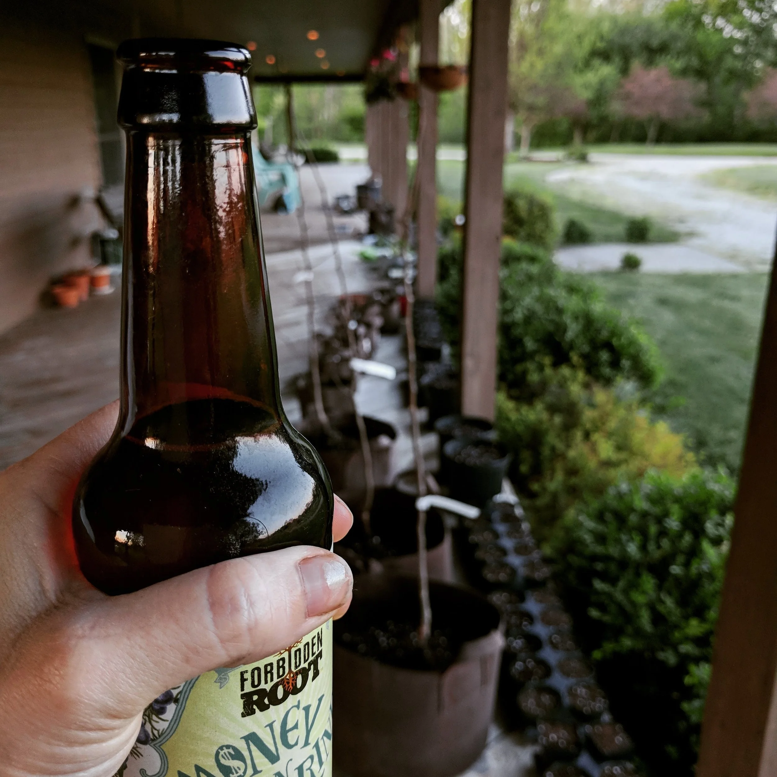 Cheers to plants in pots!