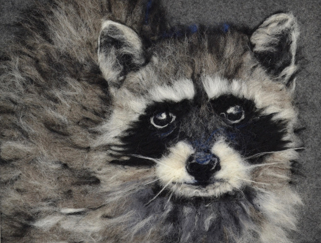 Raccoon