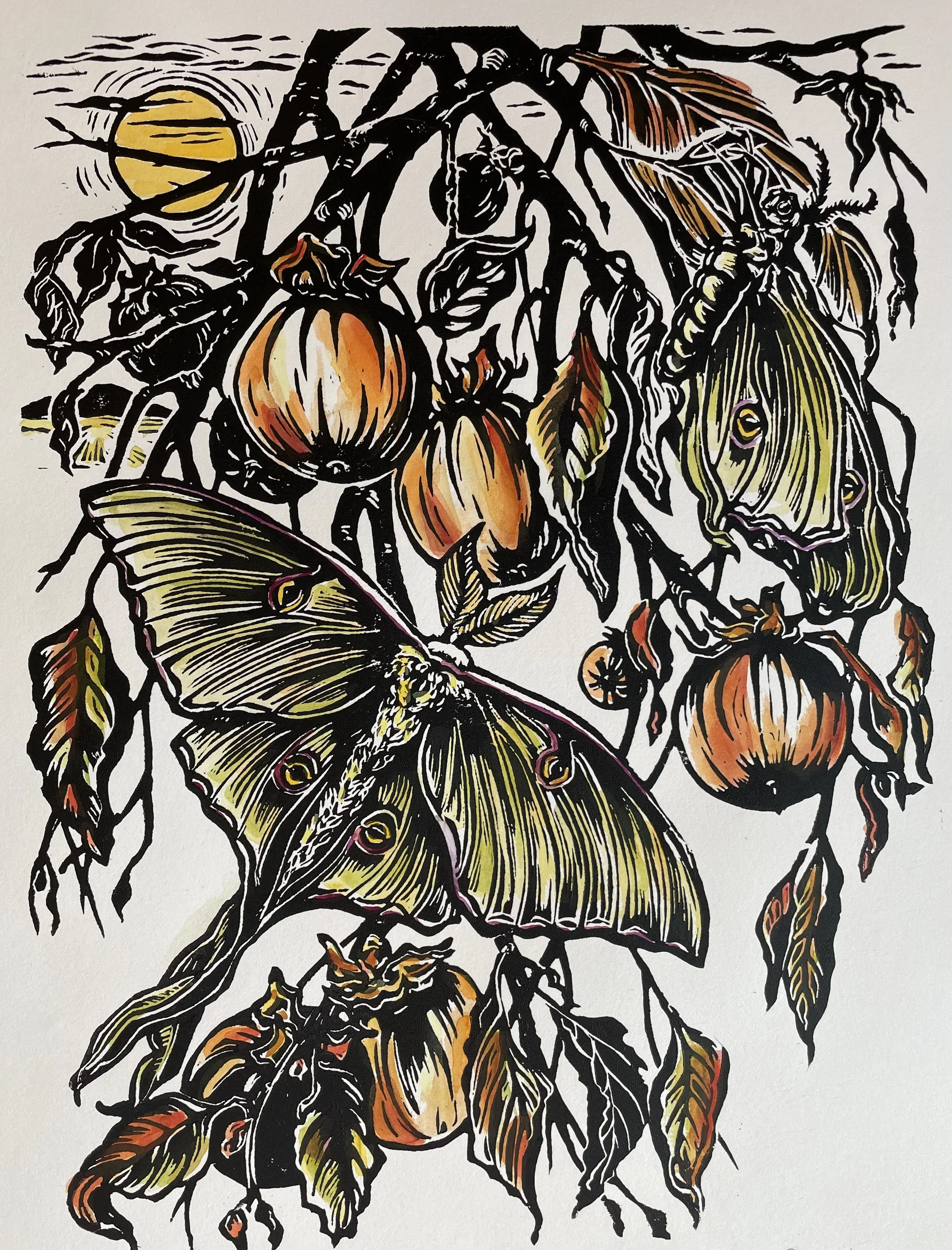 Luna Moths and Persimmon