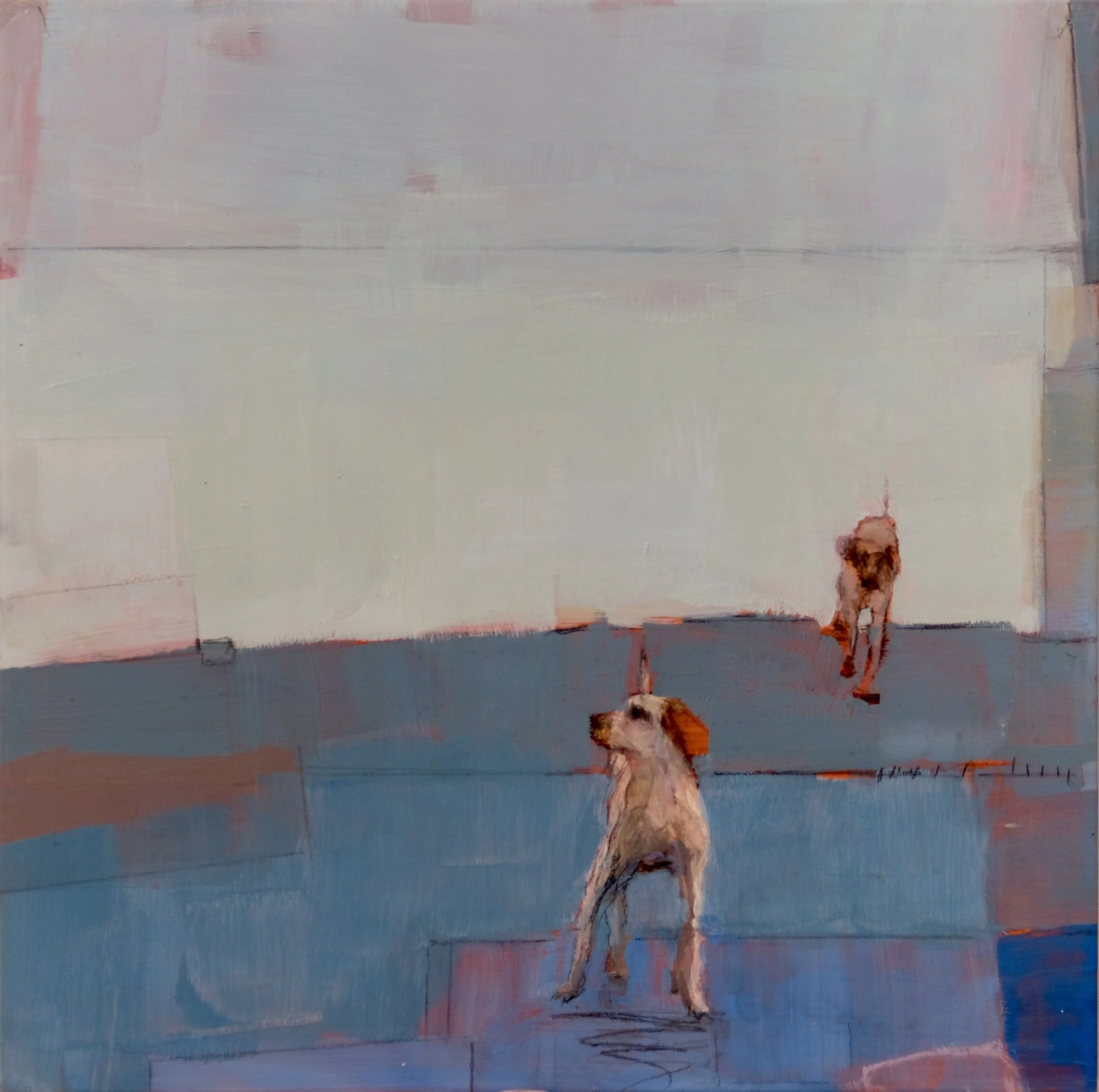 Soul of Dog Turquoise