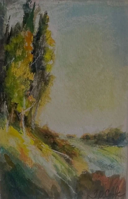 Hillside Cedars in Autumn