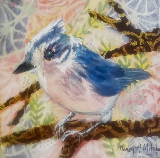 Tufted Titmouse